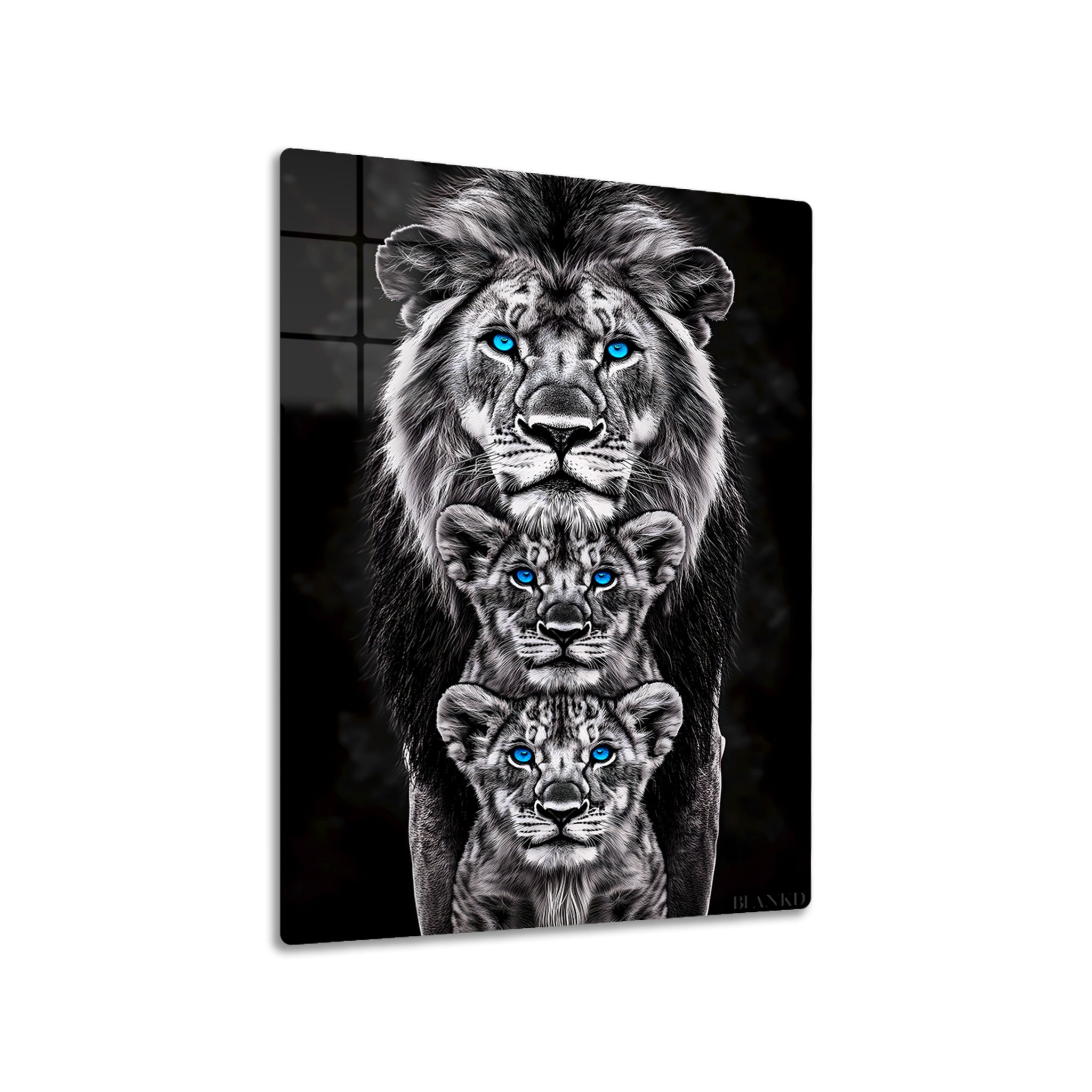 Metal print of a lion and two cubs with blue eyes on a black background